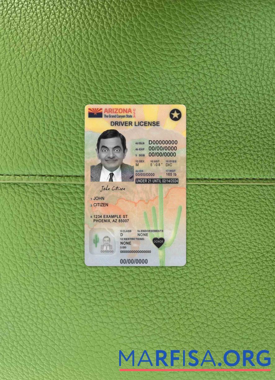 Realistic USA Arizona driving license under 21 version 2 photolook example